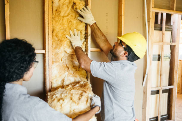 Types of Insulation We Offer in Snyder, TX